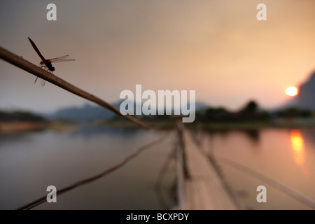 a dragonfly on the bridge over the Nam Song River at Vang Vieng at sunset, Laos