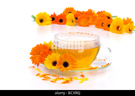 Tee Ringelblume tea marigold 04 Stock Photo