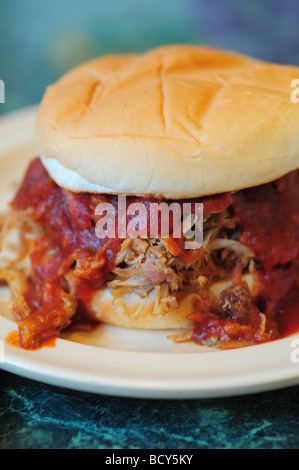 Gina Neely and Pat Neely sign copies of their book 'Down Home with the  Neelys: A Southern Family Cookbook' at Borders Chicago Stock Photo - Alamy