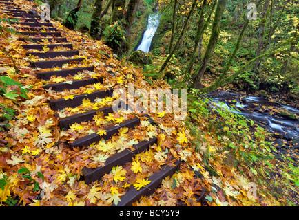 Steps and Bridal Veil Falls with fall color Columbia River Gorge National Scenic Area Oregon Stock Photo