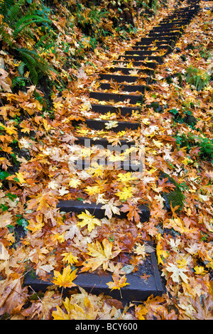 Steps at Bridal Veil Falls with fall color Columbia River Gorge National Scenic Area Oregon Stock Photo