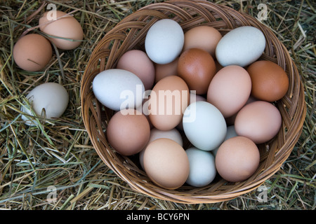 Eggs of natural chicken colored in metallic are Concept Of Financial ...