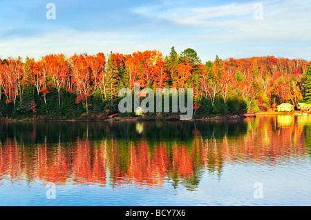 Forest of colorful autumn trees reflecting in calm lake Stock Photo