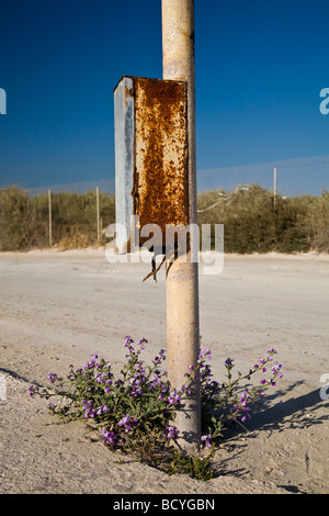 Disused and rusting emergency call box in Marsaxlokk, Malta, EU. Stock Photo