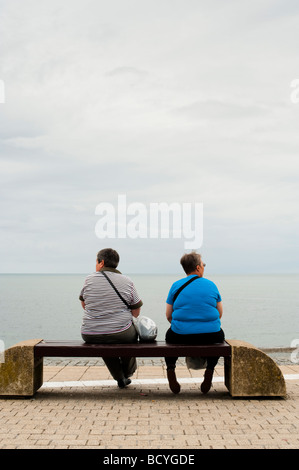 Rear view of two overweight middle aged women sitting on a seaside bench on an overcast grey summer day UK Stock Photo