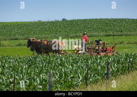 Amish farmer plowing field with team of horses near Shipshewana Indiana Stock Photo