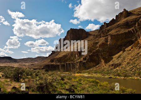 CHAPARRAL type plant grow in the wild and scenic OWYHEE RIVER gorge EASTERN OREGON Stock Photo
