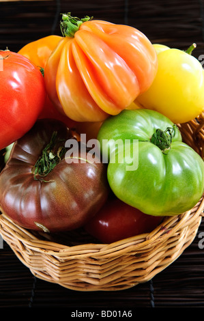 Wicker basket full of multi colored heirloom tomatoes Stock Photo