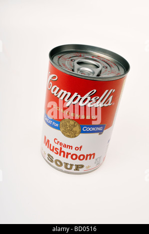 Can of Campbell's cream of mushroom soup on white background cut out. Stock Photo