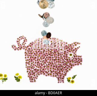 A piggy bank made of flowers with money Stock Photo