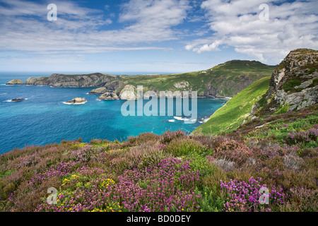 Looking towards Pwllderi - on the Pembrokeshire Coast Path Stock Photo