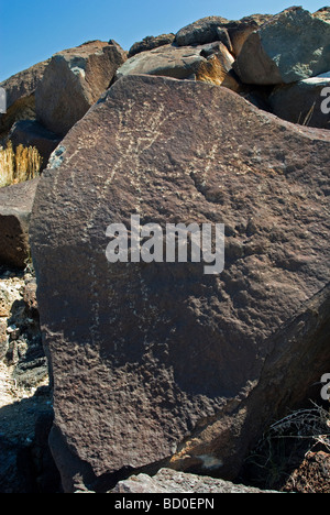 Petroglyphs in Petroglyph National Monument, Albuquerque, New Mexico Stock Photo