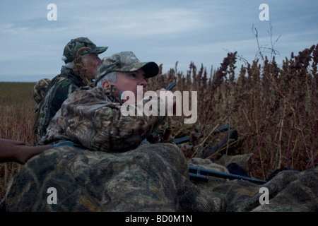 Duck hunting at dawn on a hilltop south east of Minot. Hunter in camouflage clothing makes a duck call. North Dakota. Stock Photo