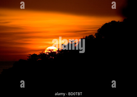 The sun sets behind trees on Chalok baan Kao,  Koh Tao, Thailand Stock Photo