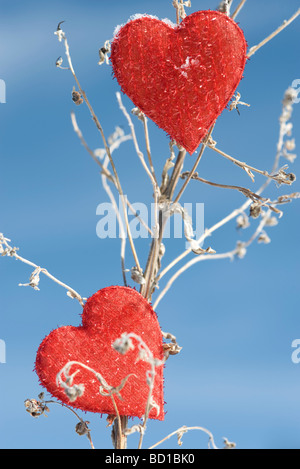 Heart shaped ornaments on dried plant stalk Stock Photo