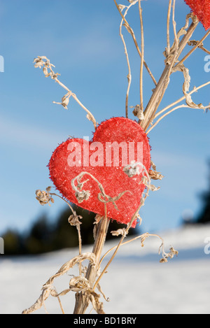 Heart shaped ornament on dried plant stalk Stock Photo