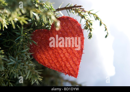 Heart shaped Christmas ornament hanging from evergreen branch Stock Photo