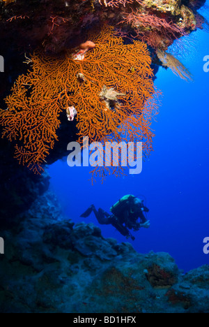 Technical diver swimming along the deep drop off in Red Sea. Safaga, Red Sea Stock Photo