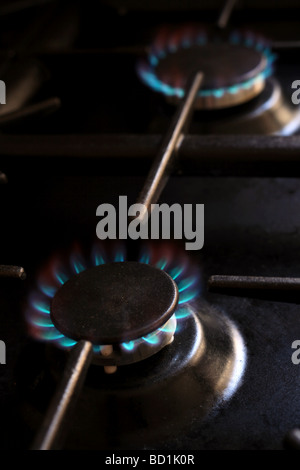 Lit gas burners on a domestic cooker Stock Photo