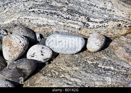 Pebbles on a bed of Lewissian Gneiss on the Hebridean island of South Uist, Scotland Stock Photo