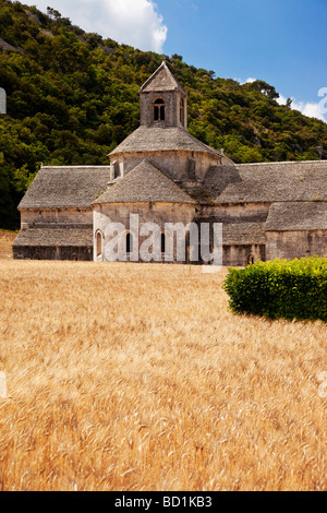 Abbaye de Senanque near Gordes, Provence France Stock Photo