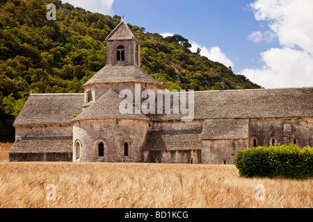 Abbaye de Senanque near Gordes, Provence France Stock Photo