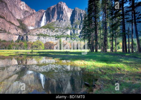 Yosemite Falls reflected in pool of water Yosemite National Park California Stock Photo