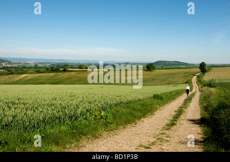 Walker on a country footpath in Auvergne, France. Stock Photo