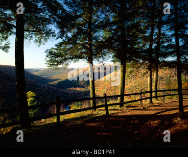 Autumn view of Loyalsock Creek from Canyon Vista Overlook Worlds End State Park Pennsylvania USA Stock Photo