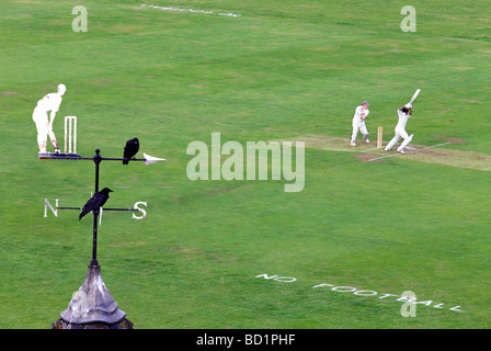 Cricket match on Parker's Piece, Cambridge Stock Photo