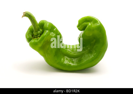 Italian Sweet pepper on a white background Stock Photo
