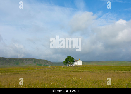 Traditional farmhouse, Upper Teesdale, County Durham, England UK Stock Photo