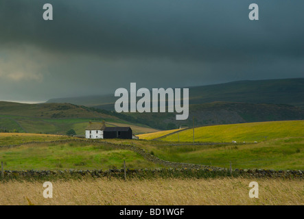 Traditional farmhouse, Upper Teesdale, County Durham, England UK Stock Photo