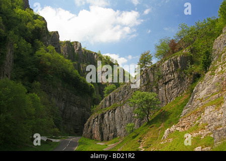 The towering limestone cliffs in Cheddar Gorge, Somerset, England, UK Stock Photo