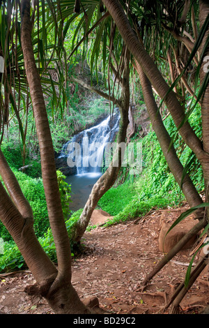 Upper Queen's Bath Falls Kauai Hawaii Stock Photo