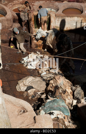 Man washing his feet and another pulling a donkey in the Tanneries Fes Morocco Stock Photo