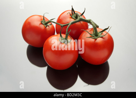 Four red freshly picked tomatoes waiting to be eaten Stock Photo