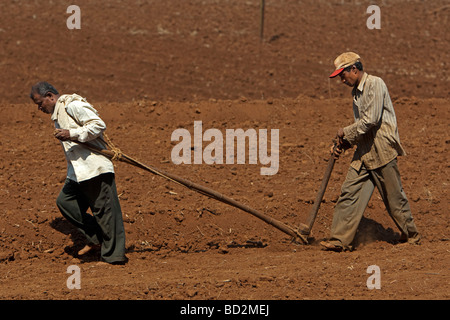 Farm workers plough field by hand near Kohlapur Maharashtra India Stock Photo