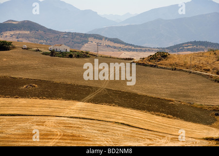 Old finca in a typical rural Andalucian landscape in southern Spain Stock Photo