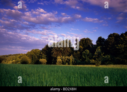 Picturesque Polish Organic Farm Stock Photo