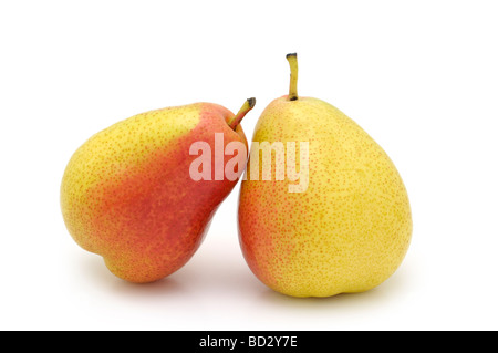 Pair of Forelle Pears Stock Photo