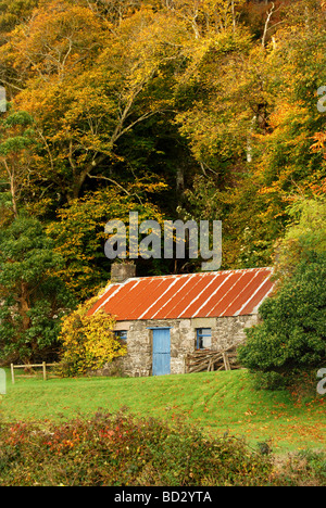 Old cottage beside deciduous woodland, Argyll, Scotland, UK. Stock Photo