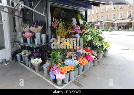 Outdoor flower stall on Outdoor flower stall on Fulham Road Chelsea London Stock Photo