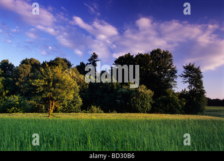 Picturesque Polish Organic Farm Stock Photo