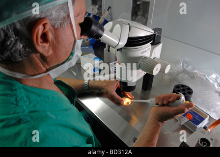 Embryologist placing embryo on a culture dish during Vitrification process at the fertility clinic in Sheba medical center, in Tel Hashomer, Israel
