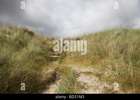 Old wooden steps on the dunes at Beadnell Bay,Northumberland,Northeast England, UK Stock Photo
