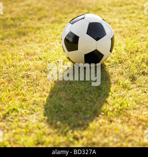 Black and white generic leather football / soccer ball on grass, back lit in the sun.