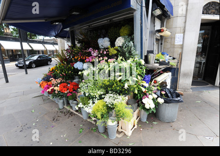 Outdoor flower stall on Outdoor flower stall on Fulham Road Chelsea London Stock Photo