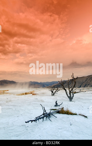 Travertine Terraces Mammoth Hot Springs Yellowstone National Park Wyoming USA Stock Photo