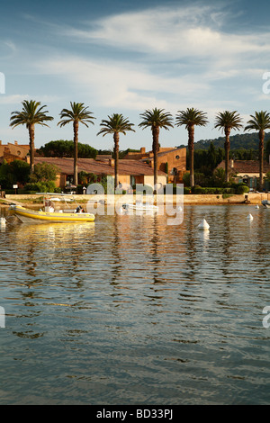 Palm trees and harbour Ile de Porquerolles Var Provence Alpes Cote d Azur South France Stock Photo